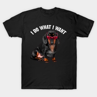 Sausage Symphony Dachshund Charm, I Do What I Want Dog Lovers T-Shirt